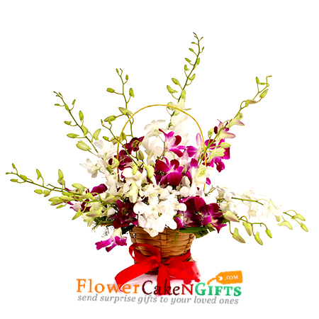 send 8 orchid flower basket delivery
