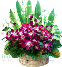 send 10 orchid flower basket delivery