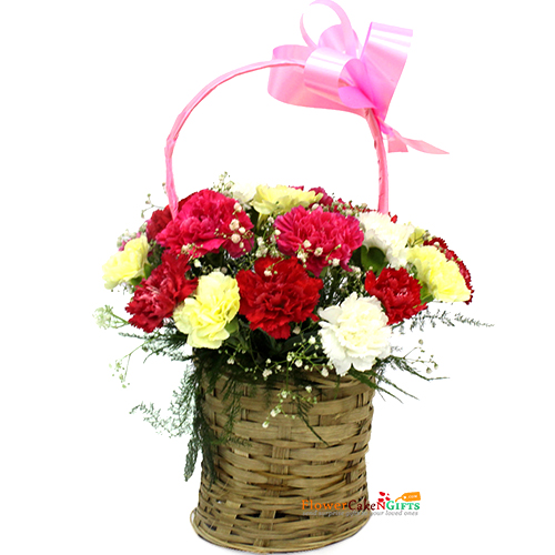 send 15 mix carnations basket delivery