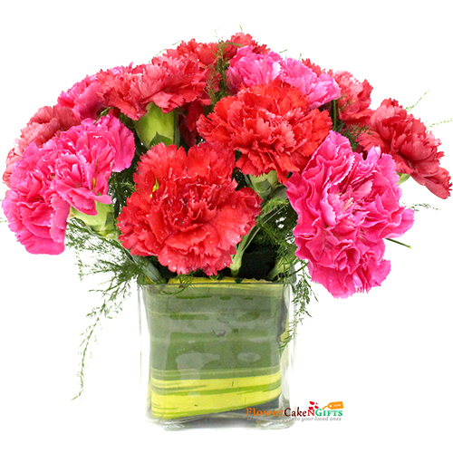 send 10 red pink carnations vase delivery