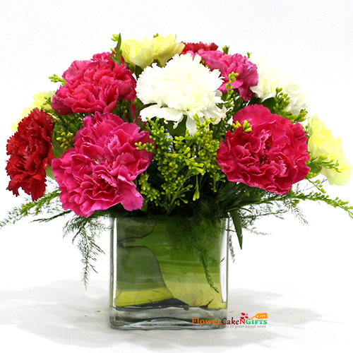 send 10 mix carnations vase delivery