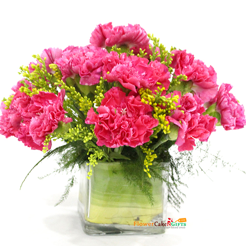send 10 pink carnations vase delivery