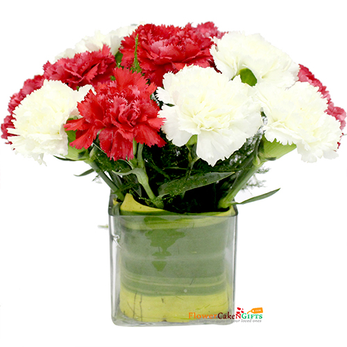 send 10 red white carnations vase delivery