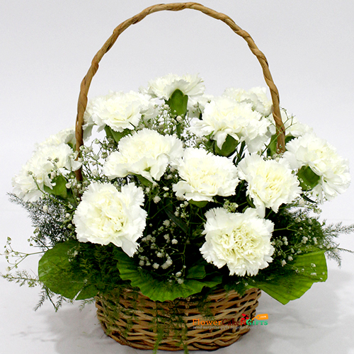 send 15 white carnations basket delivery