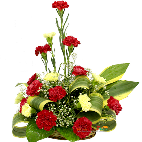 send 15 red yellow carnations basket delivery