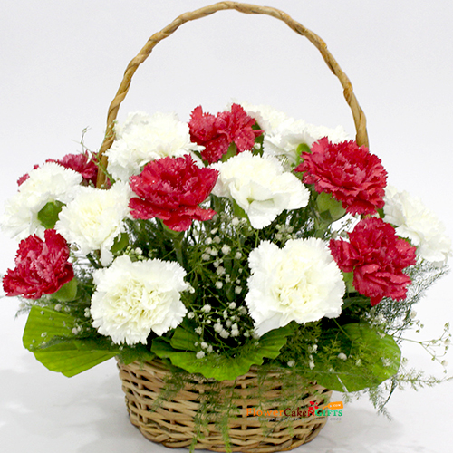 send 15 red white carnations basket delivery