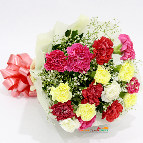 send 15 mix carnations bouquet delivery