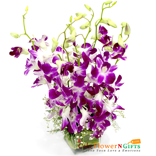 10 purple orchids vase