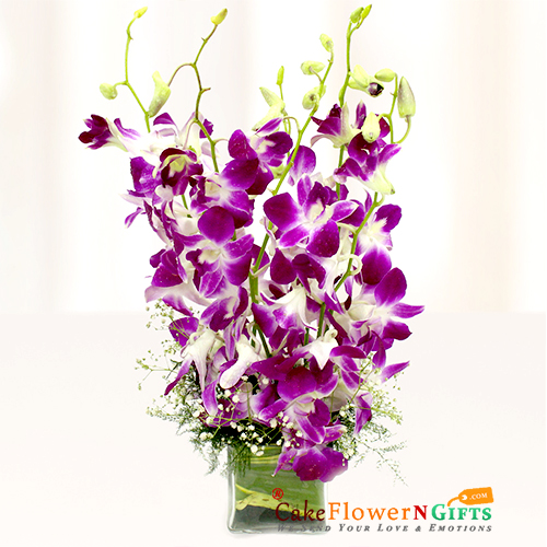 6 purple orchids vase