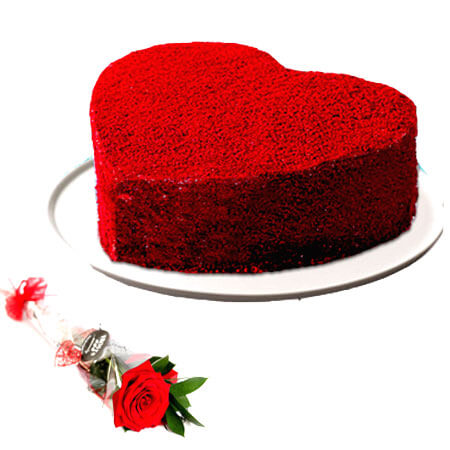 send half kg red velvet heart shape cake and 1 red rose delivery