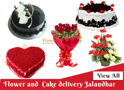 best online cake delivery in Jalandhar