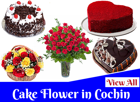 Ceremony Cakes in Kaloor Kochi | Order Food Online | Swiggy