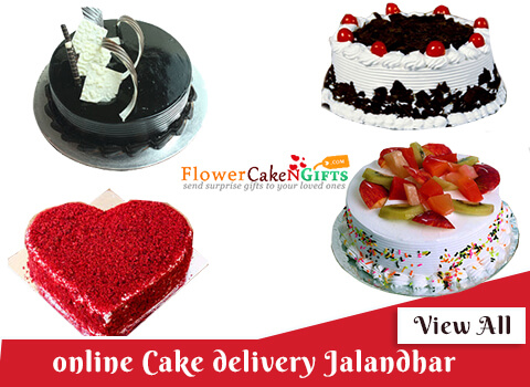 cake delivery services in Jalandhar